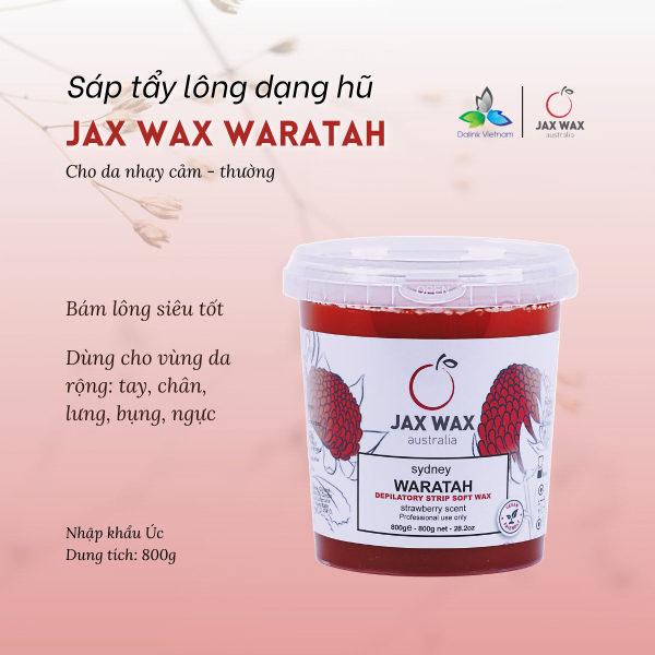 sap-tay-long-am-dang-hu-jax-wax-australia-waratah (2)